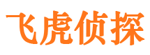 武川侦探社